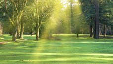 Calvary Cemetery Association